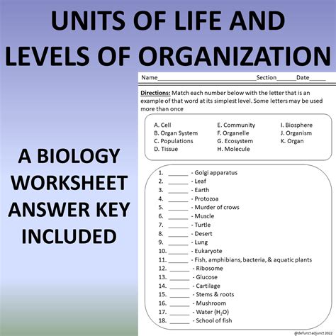 level of organization worksheet answers